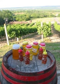 Usere Auswahl an Honig